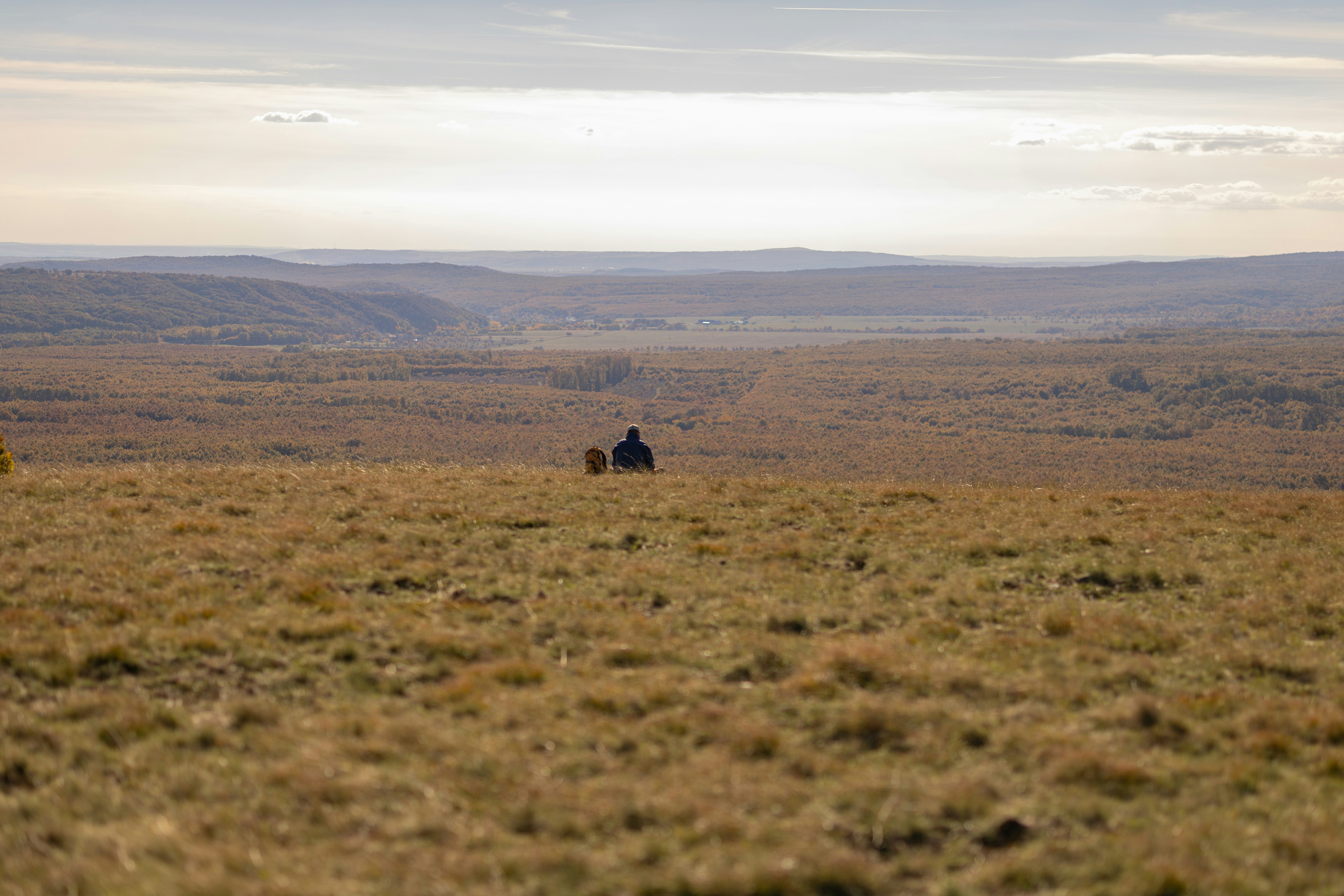 A person and their dog sitting on a vast grassy hill overlooking a valley